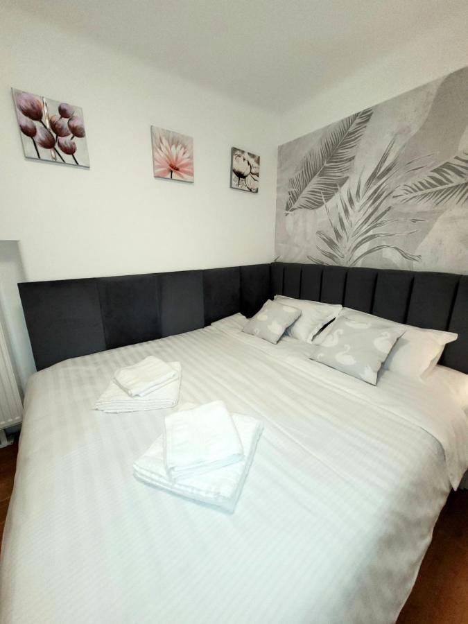 Pacha Residence Temesvár Kültér fotó