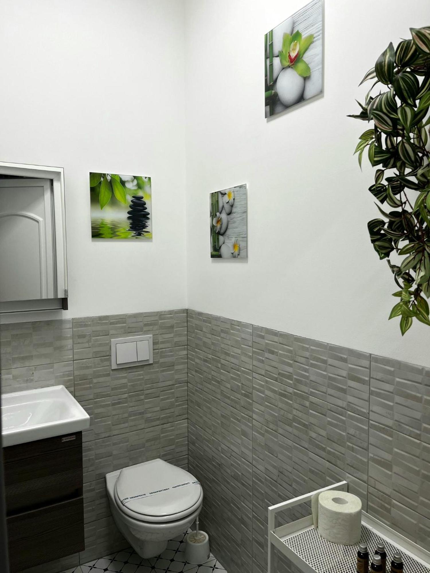 Pacha Residence Temesvár Kültér fotó